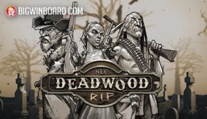 เริ่มต้นทดลองเล่นสล็อต vikings unleashed megaways อย่างไร