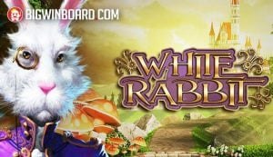 สัมผัสประสบการณ์ ดู บอล ซีเกมส์ ย้อน หลัง ผ่านวงล้อเกม NetEnt
